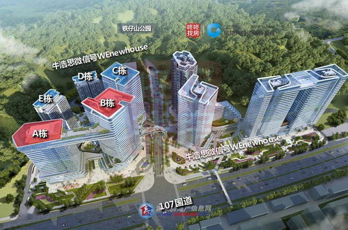 深圳新盤(pán)開(kāi)發(fā)商破產(chǎn)重整警示錄 投資興辦實(shí)業(yè)的風(fēng)險(xiǎn)與應(yīng)對(duì)